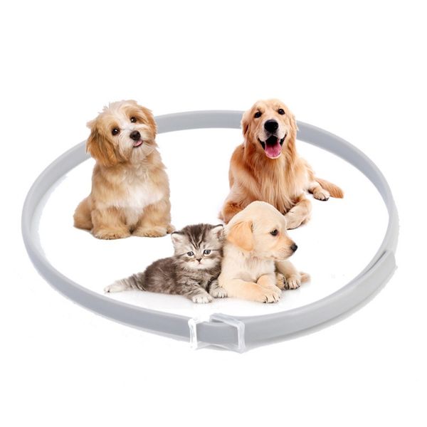 

pet collar natural essential oils cats dogs mosquito repellent flea treatment prevention universal for dogs and cats