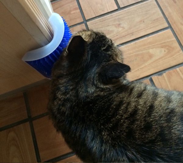 

corner pet hair brush comb play cat toy soft cat self groomer hair shedding trimming dog cat massage device