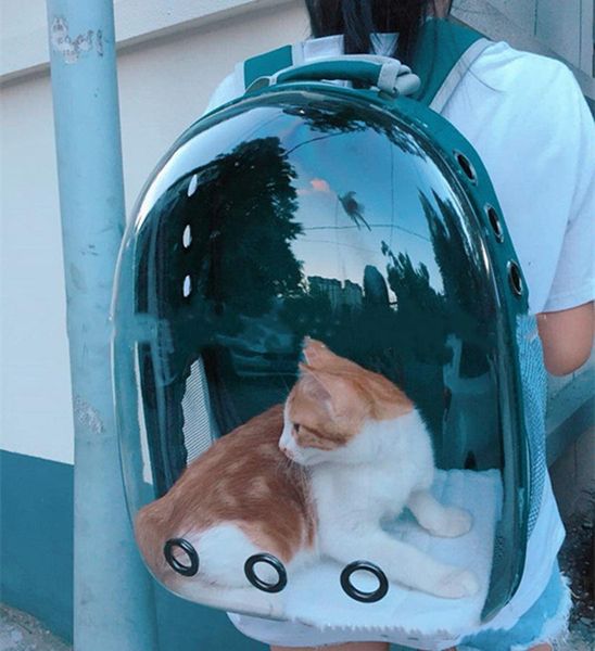 

astronaut pet cat dog puppy carrier travel bag space capsule outdoor transparent portable backpack breathable d