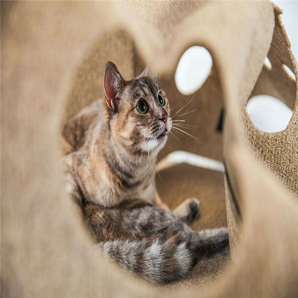 

pet cat toy durable holed blanket play mat hide and seek carpet with holes scratch-resistant kitten cat hiding house