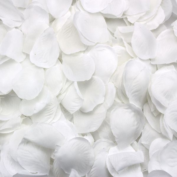 

500 rose petals scattered white decoration wedding party