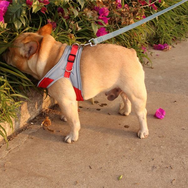 

pet dog harness reflective puppy cat walking harnesses vest for small medium dogs for small medium dogs pet products