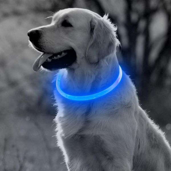 

usb зарядка led ошейник светящийся свет ошейник для собак кошек щенков прохладный товары для собак cat поставляет продукты бесплатная достав