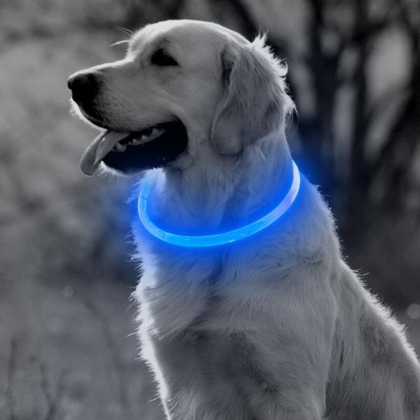 Collare per cani con LED di ricarica USB Collare tagliabile con luce incandescente per cani Gatti Cuccioli Forniture per cani freschi Forniture per gatti Prodotti Spedizione gratuita