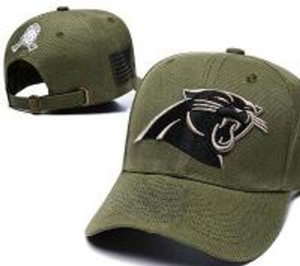 salute to service panthers hat