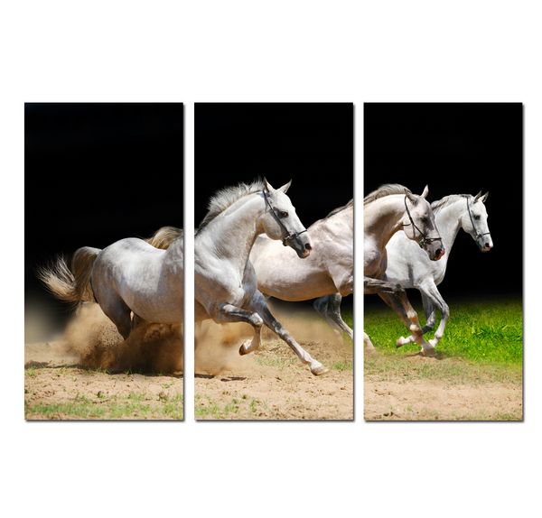 

3 panels animal running horses print painting canvas poster picture wall art gift modern home decor office living room decorations hyp-a1044