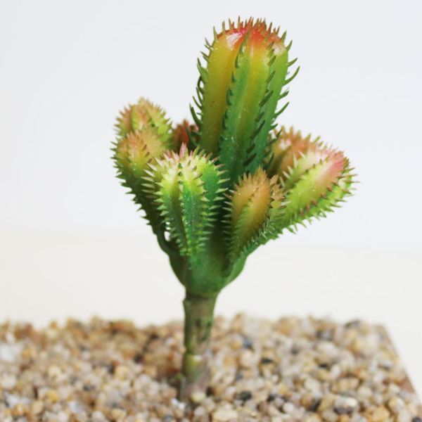 

artificial succulents plastic plant fake cactus floral garden homes office decor