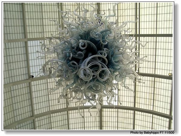 

100% mouth blown borosilicate ceiling light modern led bulb european chihuly style hand blown murano glass chandelier