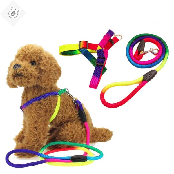 

superdog colorful dog leash rope 1.2m nylon belt pet traction walking lead rope round crude training leashes