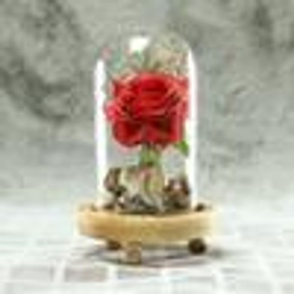 

romantic immortal flower micro landscape rose simulation glass shade led llight rose in a flask valentines day gift home decor y19061103