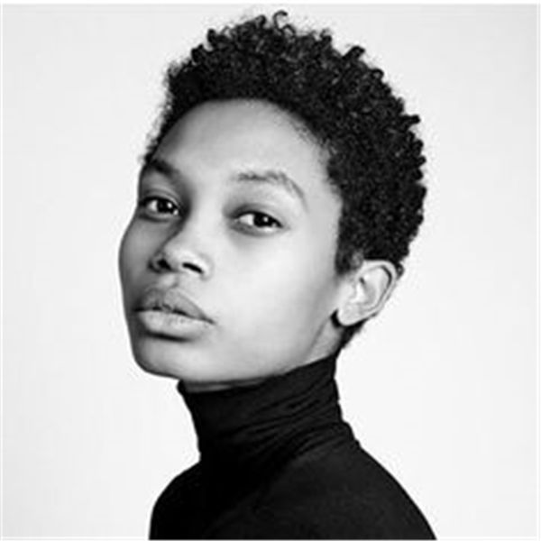 Short Curly Wigs For Black Women Short Jerry Kinky Afro Human Hair