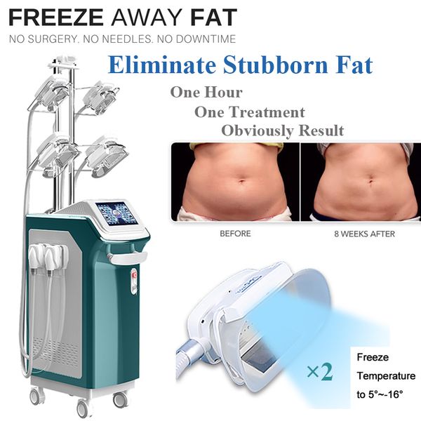 

жир потеря веса замороженного cryolipolysis подтяжка кожи машина липосакция ног сжигание жира целлюлита смывка 360 крио машина