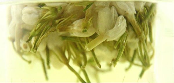 

jasmine flower tea 2020 spring 100% natural organic blooming herbal beautify skin