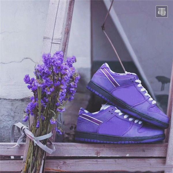 

designer concepts zoom sb dunk low running shoes for men womens breathable sneakers pro qs cnpts purple lobster dunks trainers zapatillas