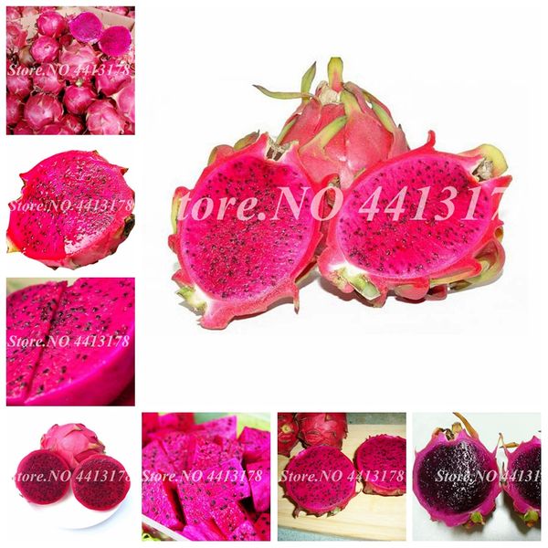 

rare red heart pitaya bonsai delicious outdoor juicy fruta tree dragon fruit diy home graden drawf bonsai tree 100 particles/ lot seeds