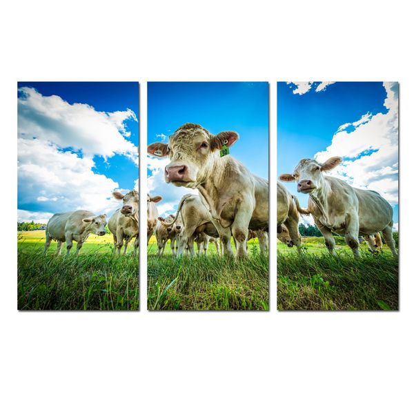 

3 panels animal cows landscape print painting canvas poster picture wall art gift modern home decor office living room decorations hyp-a1018