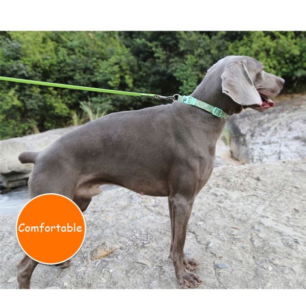 

pet polyester adjustable colorful printed collar with leash ring for dogs cats quick release buckle new