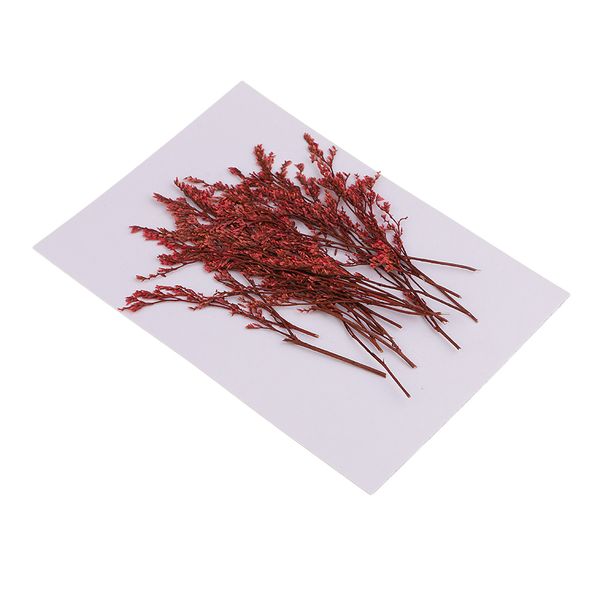 

20 pieces dyed red limonium dried flowers embellishments for diy phone case decoration handmade resin casting ornament 7-10cm