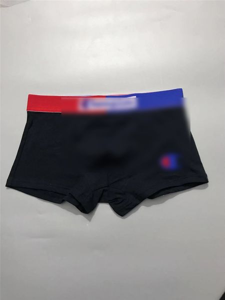 champion brand underwear