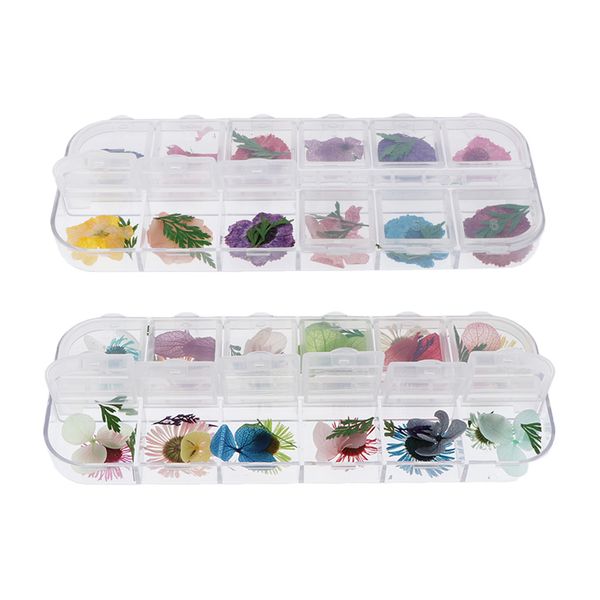 

2 boxes of natural flowers real pressed dried flowers for art