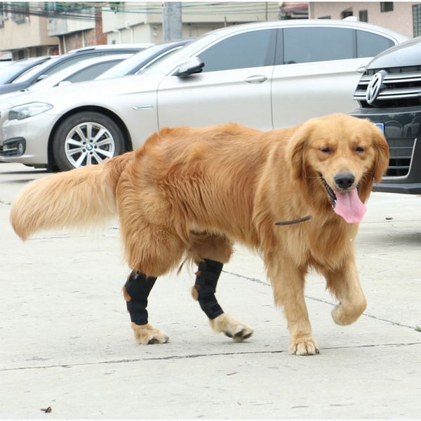 

popular pet knee surgery rehabilitation sleeve leg joint wrap protection dog knee brace pet supplies