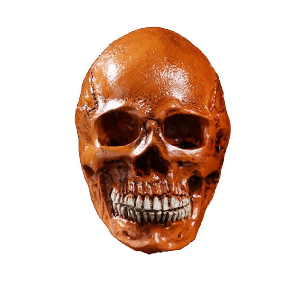 

homosapiens skull figurine human skeleton head bar decor teaching