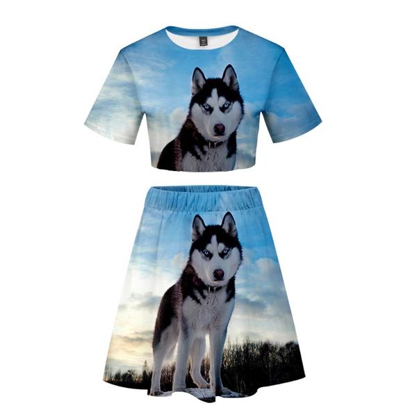 

собака 3d печати женщины две части наборы наряды миди юбка 2 шт наборы женский короткий рукав harajuku короткие для женщин на лето, White