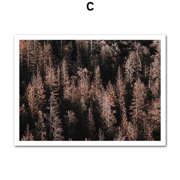 Download Zitate baum For iPhone