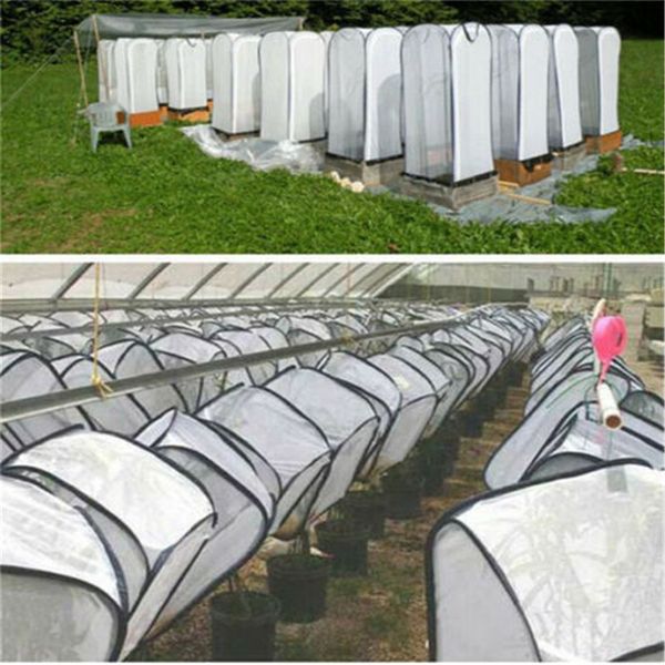 

insect cage foldable butterfly habitat mesh transparent surface portable zipper seedling light incubator breeding habitat net
