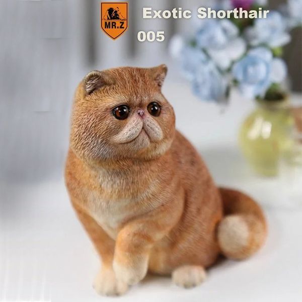 2020 Foraway Mr Z 1 6 Exotic Shorthair Cat Statue Made In China