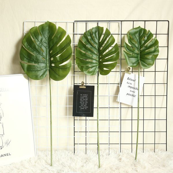 

ins turtleback leaf spring rain money leaf simulation flower home decoration wedding plant wall fake flower manufacturers