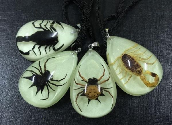 

12 pendant real scorpion spider in glow resin pendant china insect style, Silver