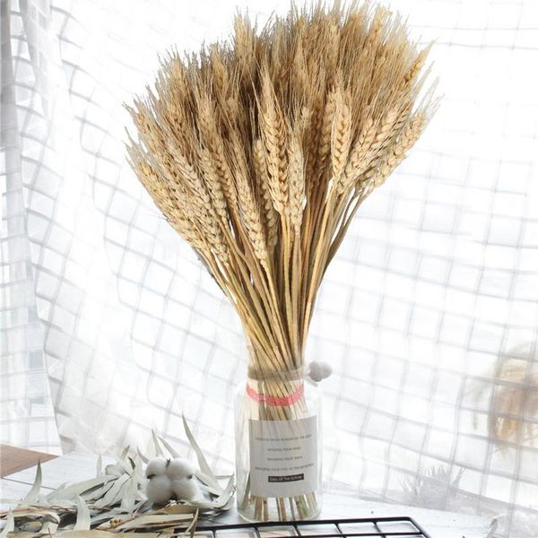 

100 stems natural dried flowers decorative wheat bouquet dried branches wedding decoration flower wreath diy home decor