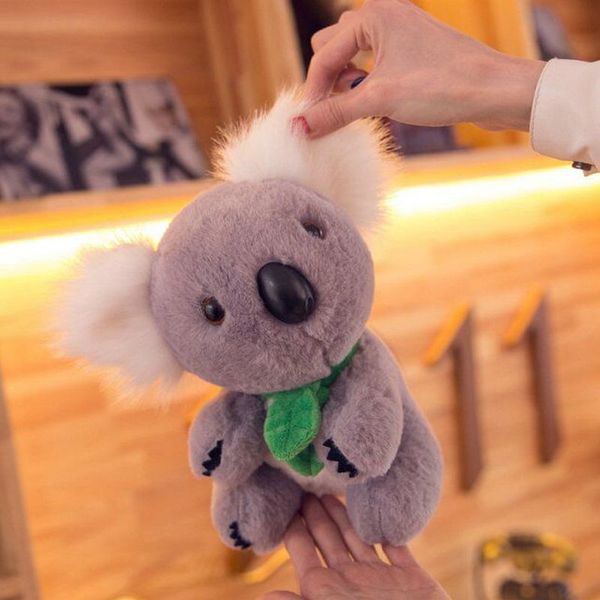 koala di peluche