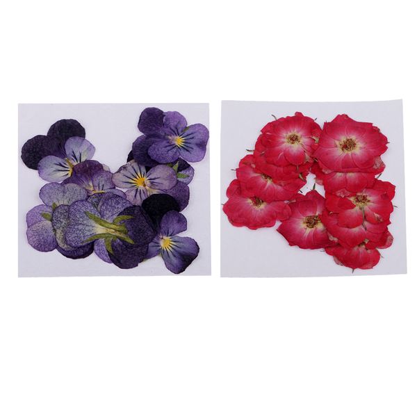 

22 piece pressed natural dried flowers real flower rose violet for scrapbooking