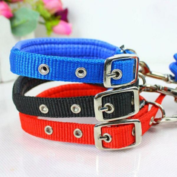 

pets foam tow rope a collar for a horse suit medium-sized dog 2.0cm collar