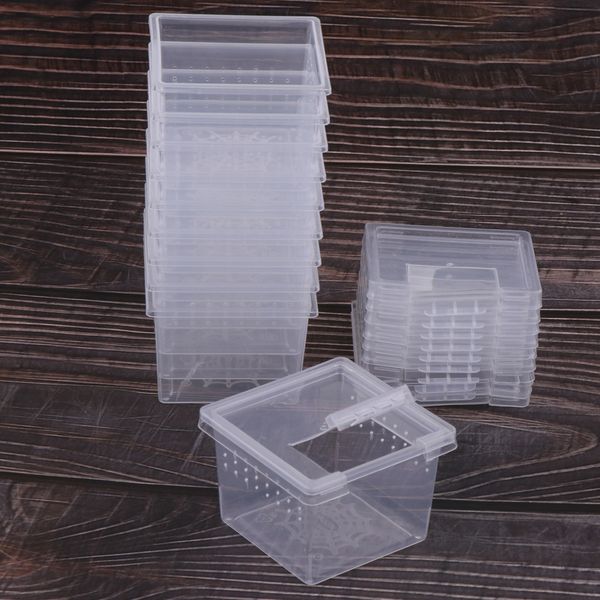 

set of 40 transparent containers for scorpion spider insects empty