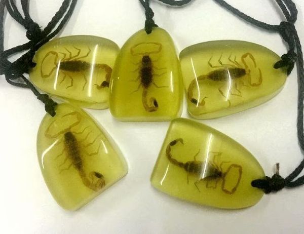 

yqtdmy 17 pcs charming style gold scorpion king insect chic pendant, Silver