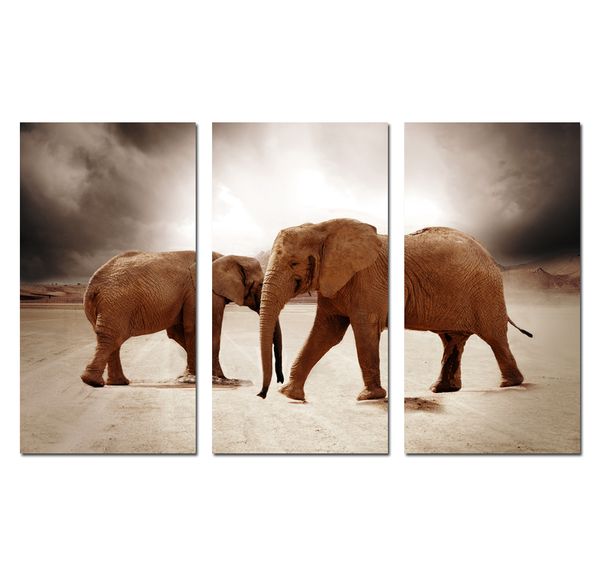 

3 panels art wall animal african elephants scenery oil painting print on canvas gift poster picture office living room home decor hyp-a1127