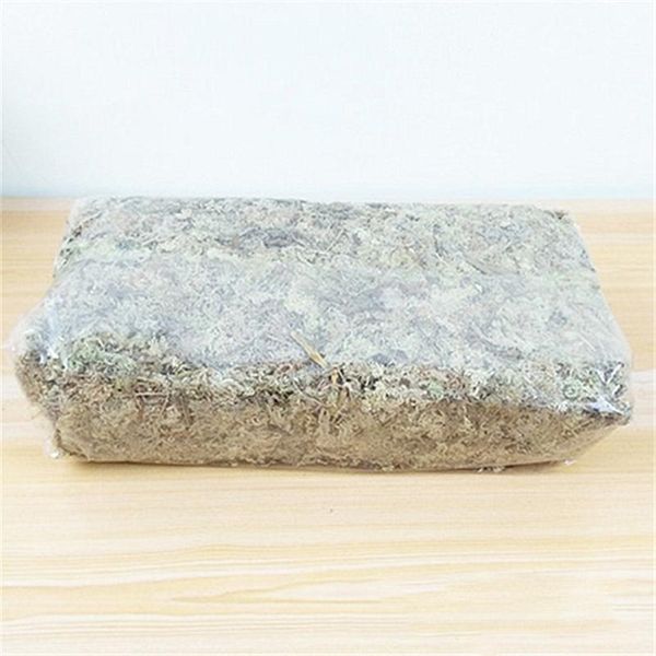 

6l/12l sphagnum doy moss garden moisturizing nutrition organic fertilizer for orchid phalaenopsis musgo sphagnum