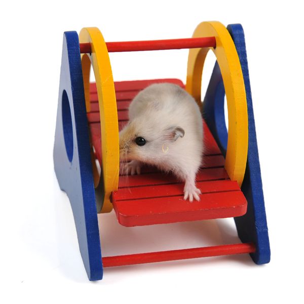 

agent quality goods hamster rainbow shaky swing small pets case nest woodiness toys