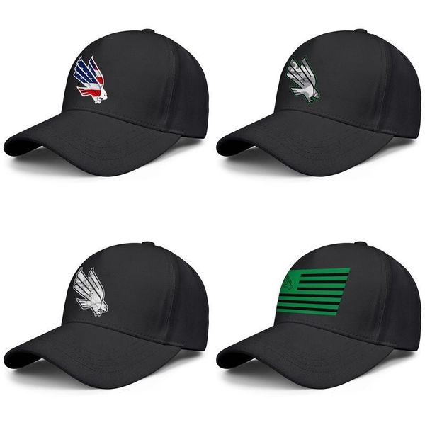 

north texas mean green flag логотип черные мужские и женские бейсболки прохладные установлены пользовательские спортивные старинные пользова, Blue;gray