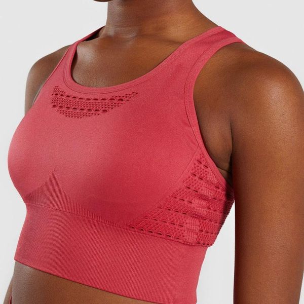 

gym clothing seamless sport bra high impact sports wear for women padded push up fitness bras workout, White;black