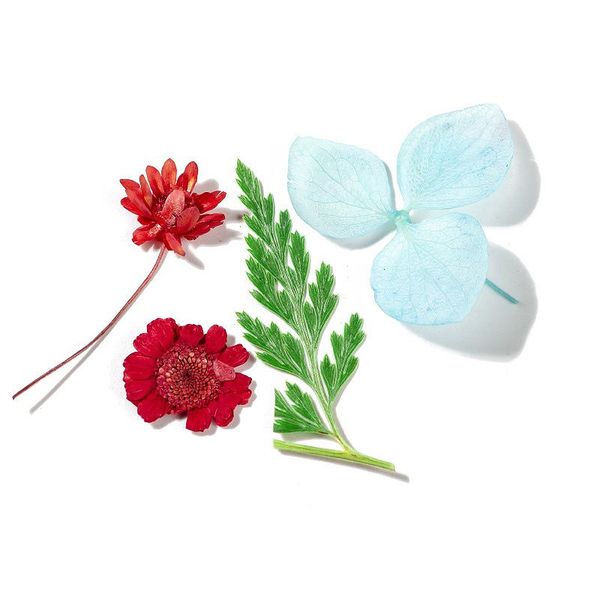 

nail art nail decoration snowdrop flower daffodil diy manicure three-dimensional natural beautiful dry flower decals, Silver;gold