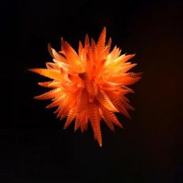 

new arrival orange color glass horn shape chandelier glass murano art lighting for house decoration