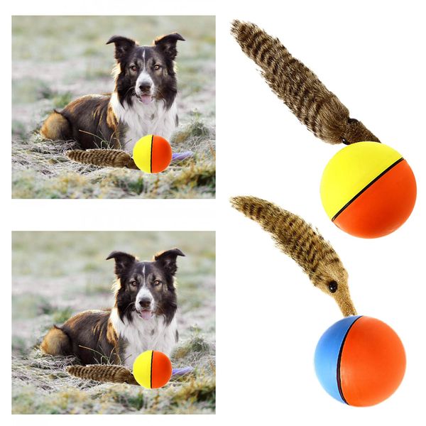 

2x dog cat electric beaver weasel jumping moving rolling ball pet puppy toy