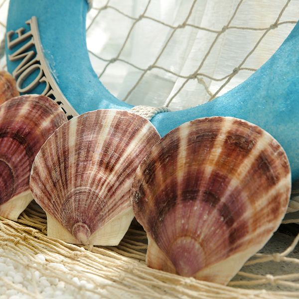 

natural shell conch mediterranean ocean beach aquarium fish tank decoration painting graffiti scallops decoration craft ornament