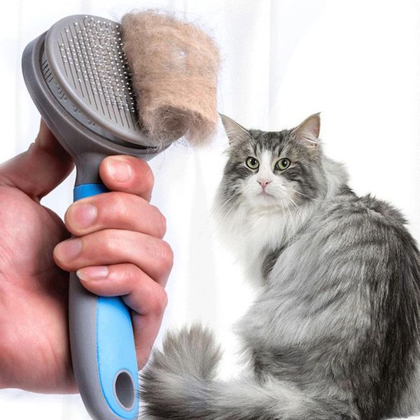 2019 Innovate Pet Cat Hair Removal Brush Comb Pet Care Tools