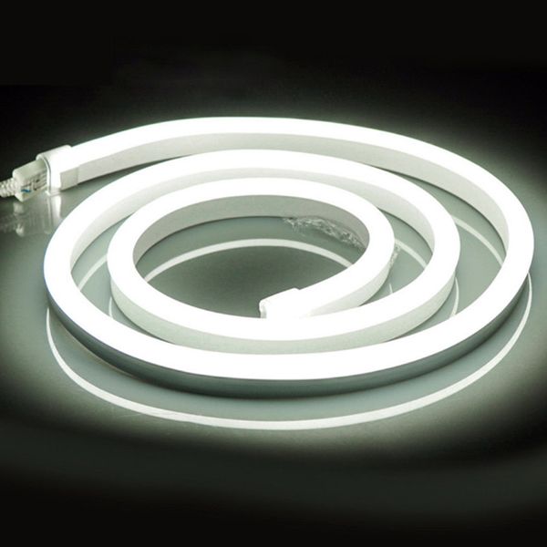 AC 110 V Neon-Seil-LED-Streifen, einfarbig, 50 m, für den Außenbereich, IP67, 5050, SMD-Lampe, 60 LEDs/m, mit Netzteil, schneidbar auf 1 m