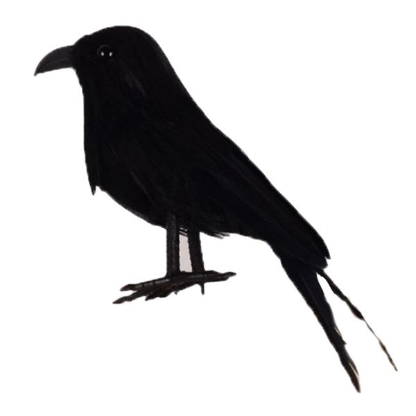 

black feather small crows birds ravens for halloween decoration